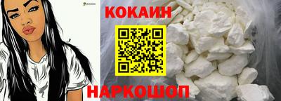 гидропоника Сланцы