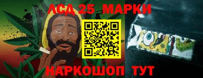 гидропоника Сланцы