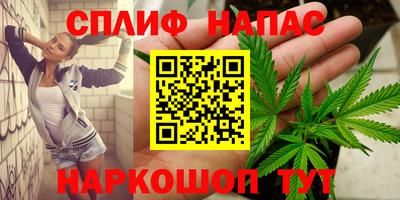 ешки Славгород