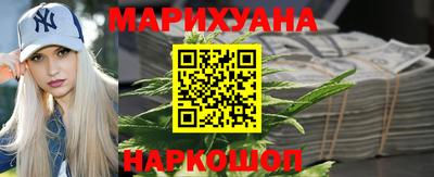гидропоника Сланцы