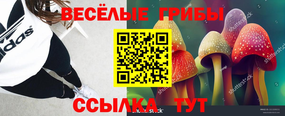 Псилоцибиновые грибы прущие грибы  Вход с VPN  Галлюциногенные грибы мицелий  как найти наркотики  Реутов 